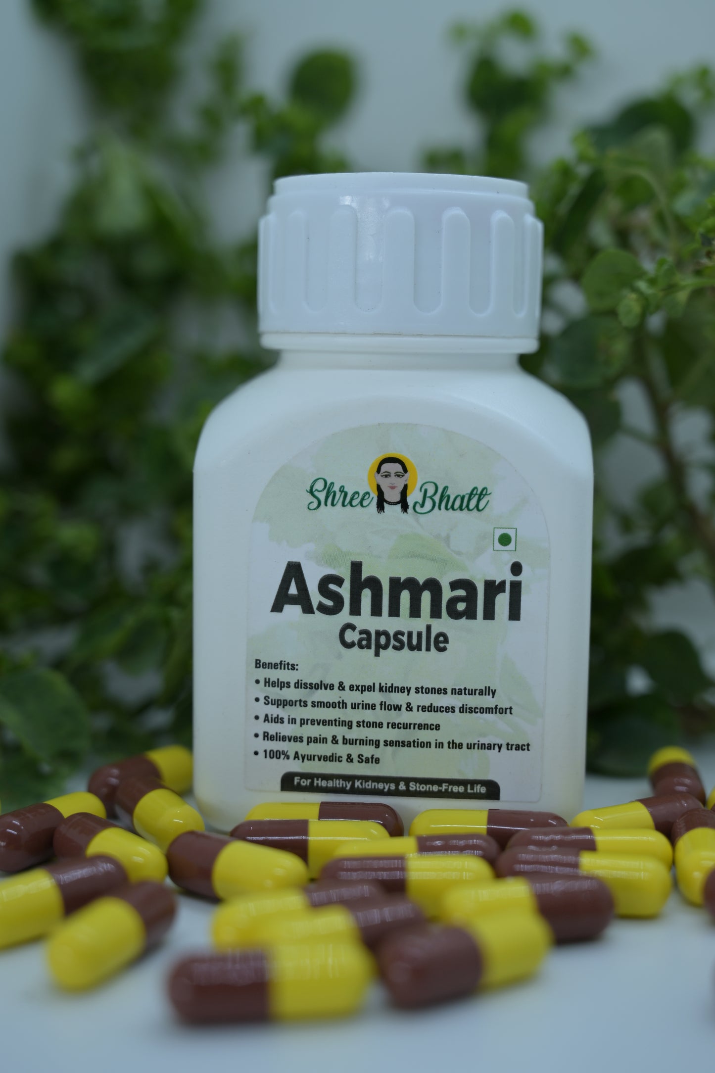 Shreebhatt Ashmari Capsule - For Healthy Kidneys & Stone Free Life